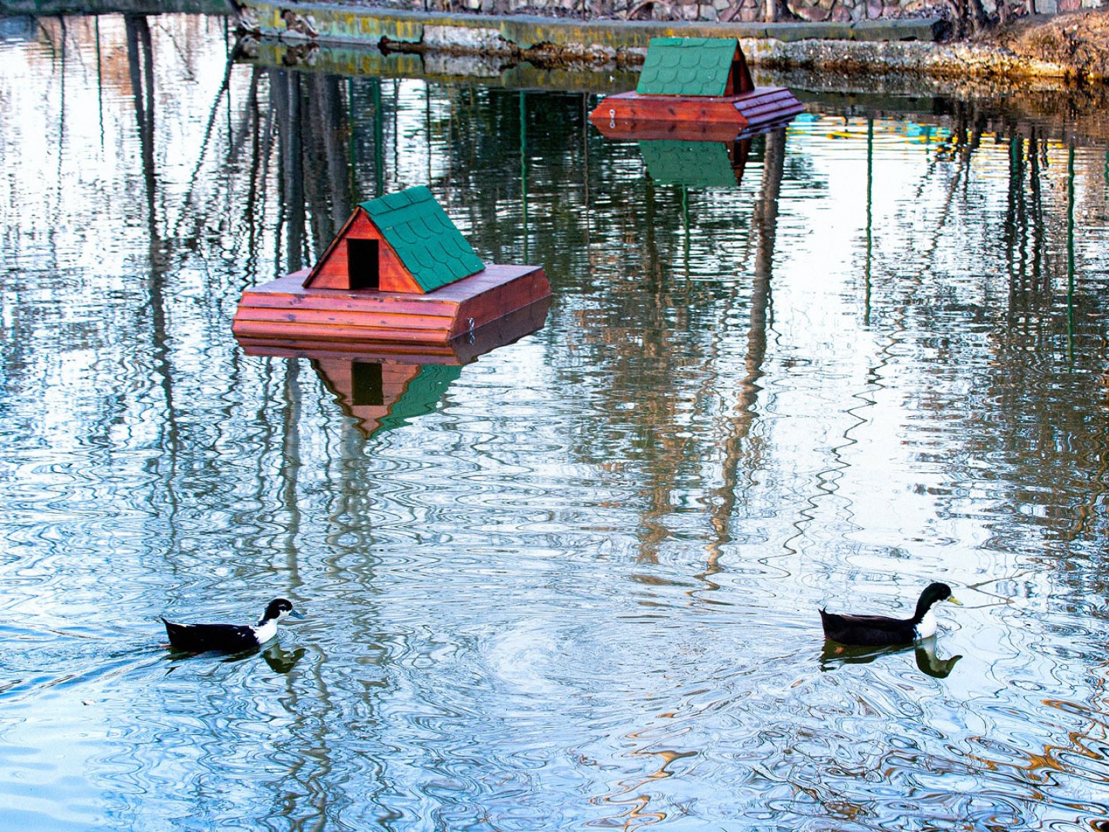 Изработка, испорака и поставување на пловечки куќарки за патки